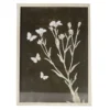 Black & White Butterfly Botanical Framed Art Print
