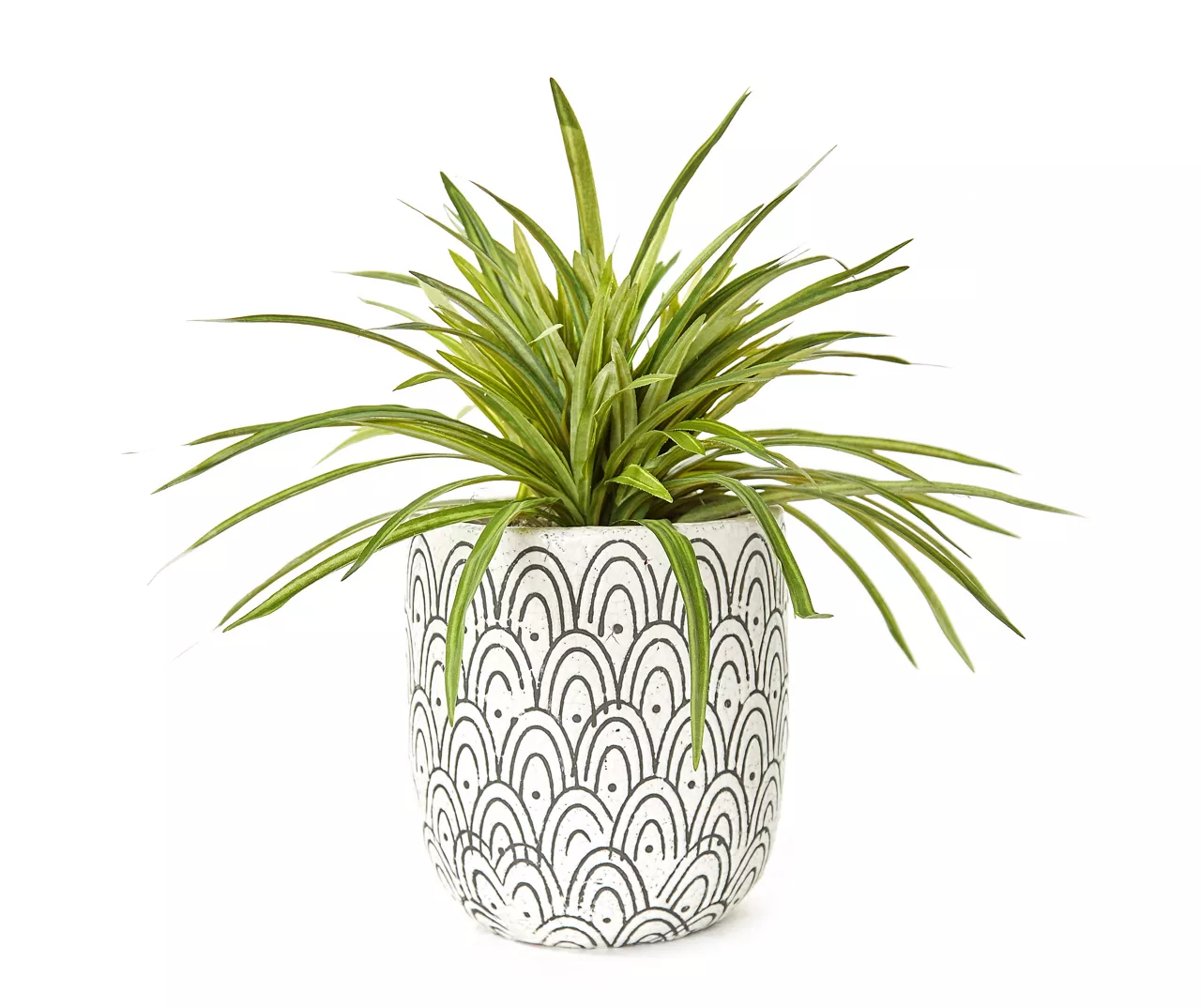 Grass In Arch Pattern Pot 1 Grass In Arch Pattern Pot