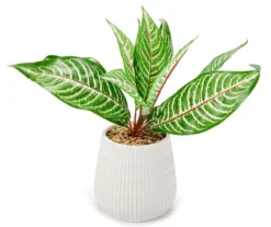 Green Artificial Leafy Arrangement With White Ridged Ceramic Pot