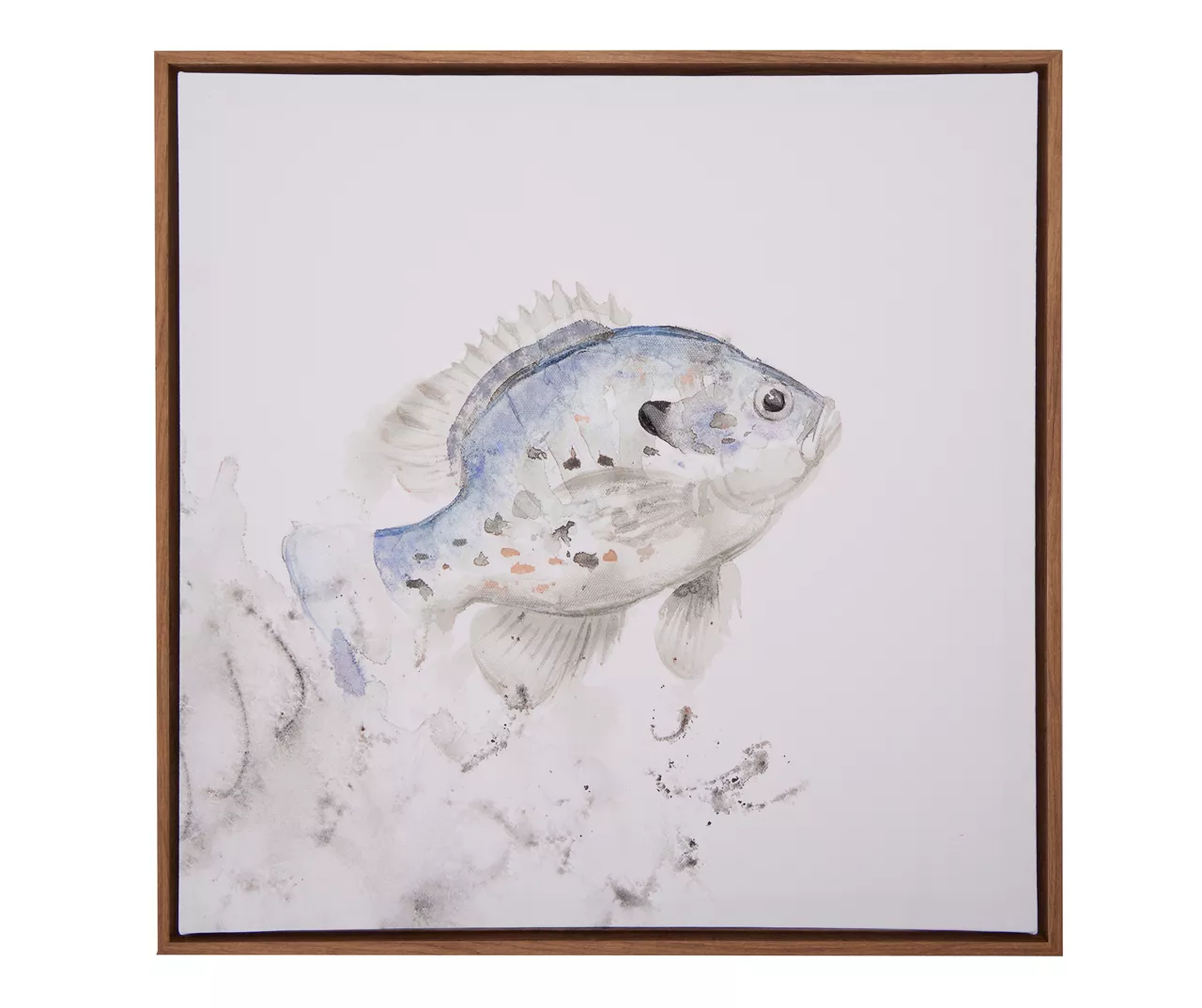 Blue & Brown Fish 1 Framed Canvas 1 Blue & Brown Fish 1 Framed Canvas